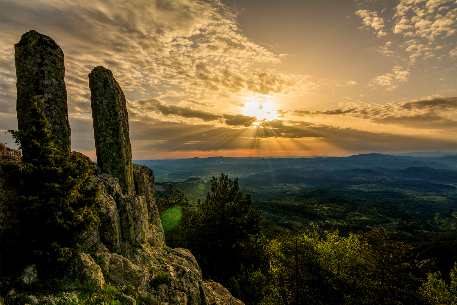 Reyhan Mustafa Foto Memory