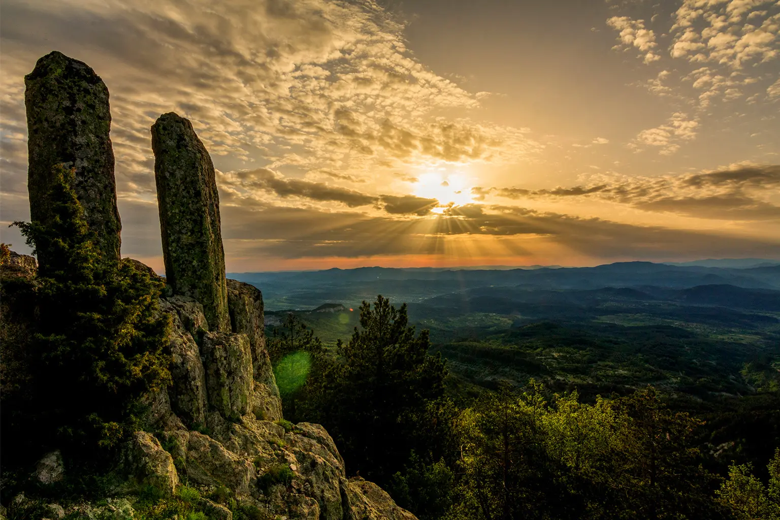 Reyhan Mustafa Foto Memory