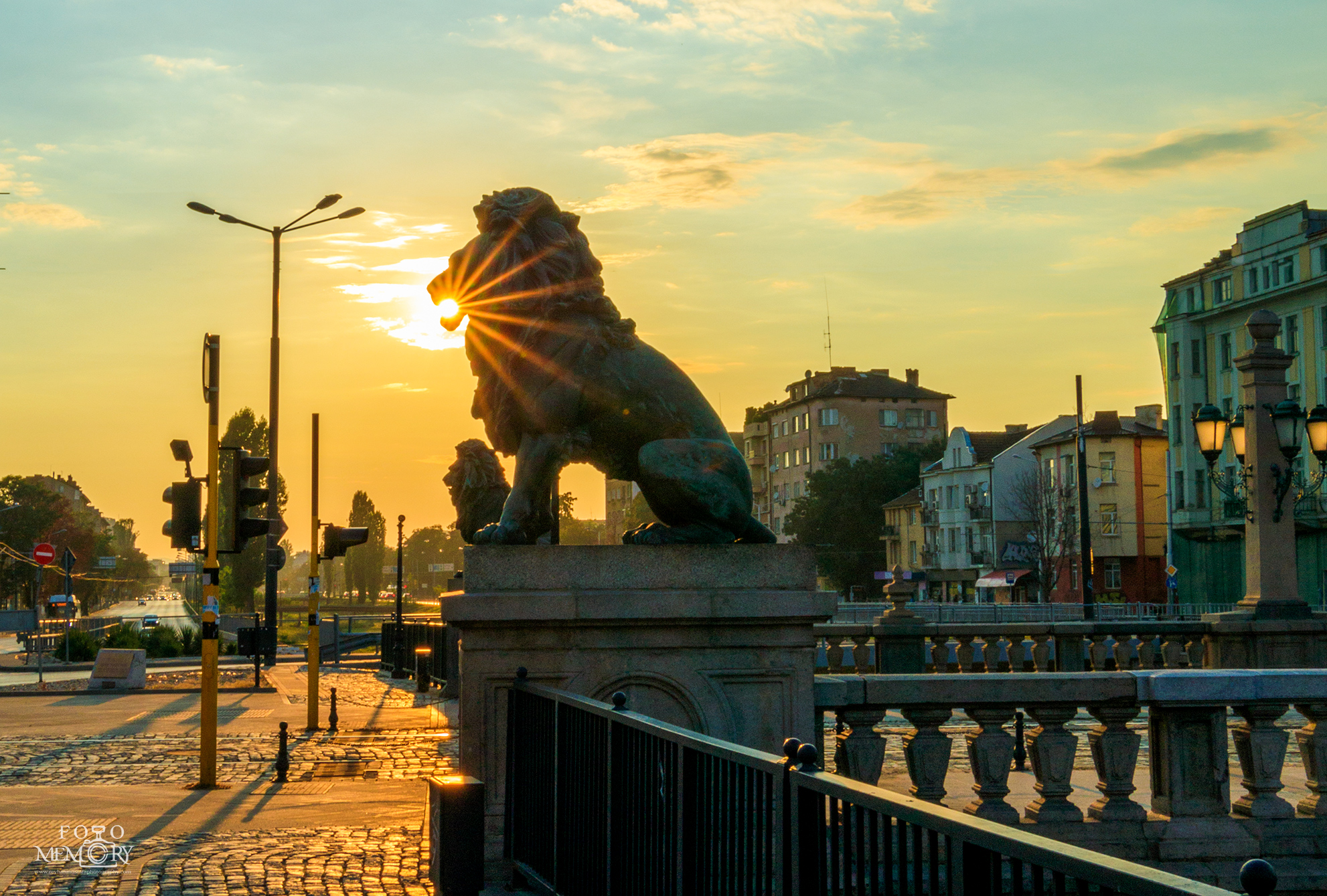 Reyhan Mustafa Foto Memory