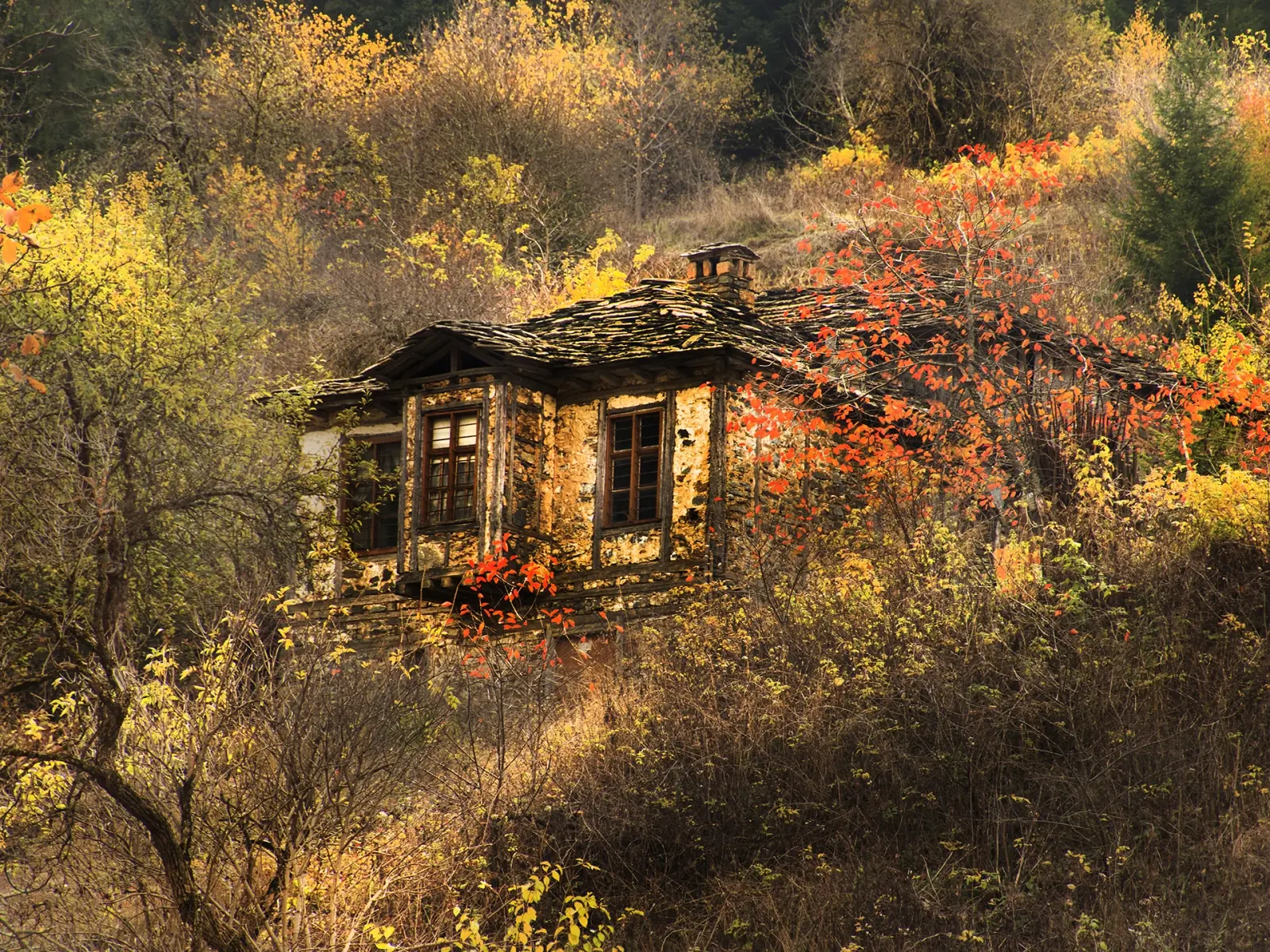 Reyhan Mustafa Foto Memory