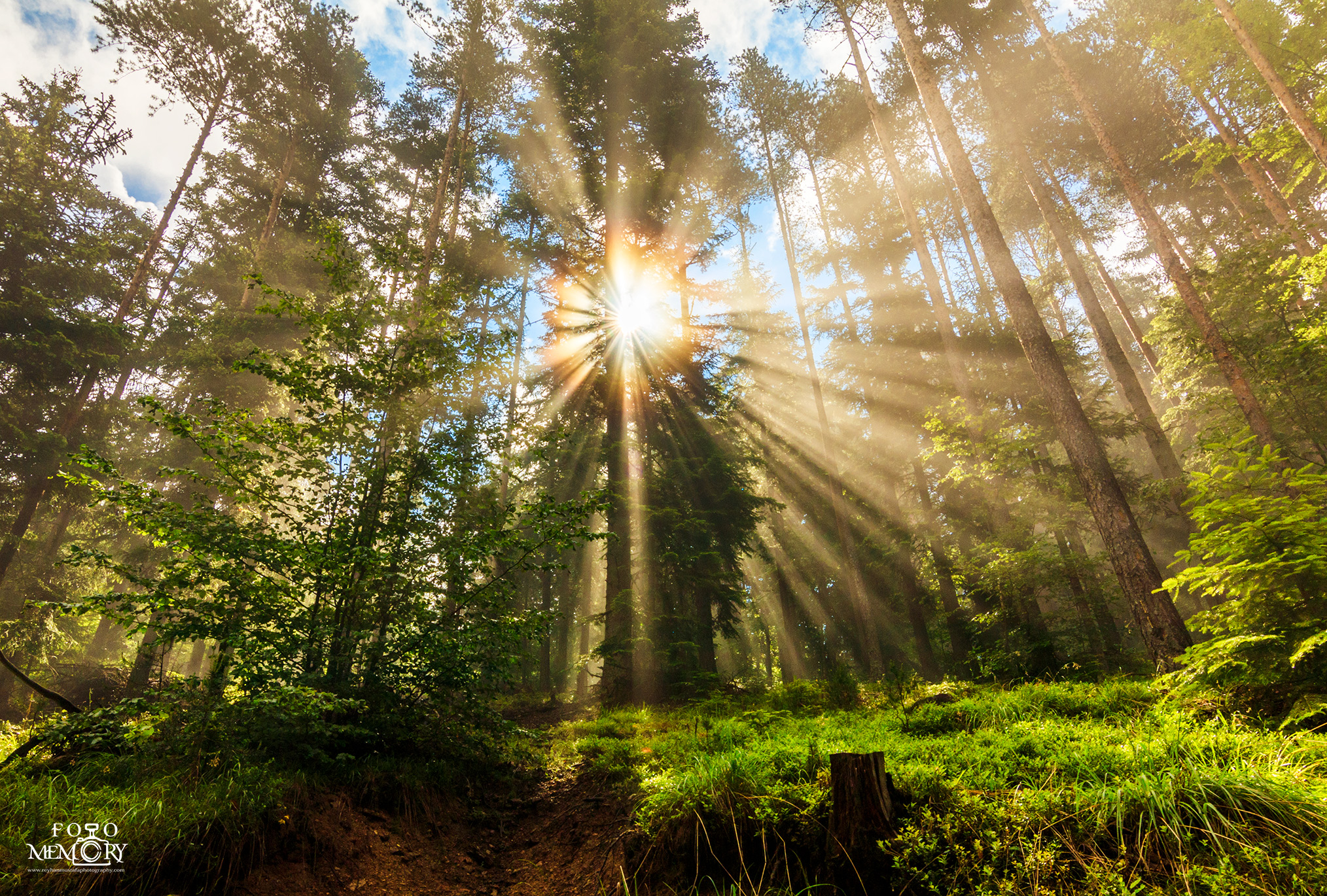 Reyhan Mustafa Foto Memory